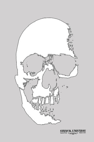 Skull 003