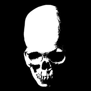 Skull 002