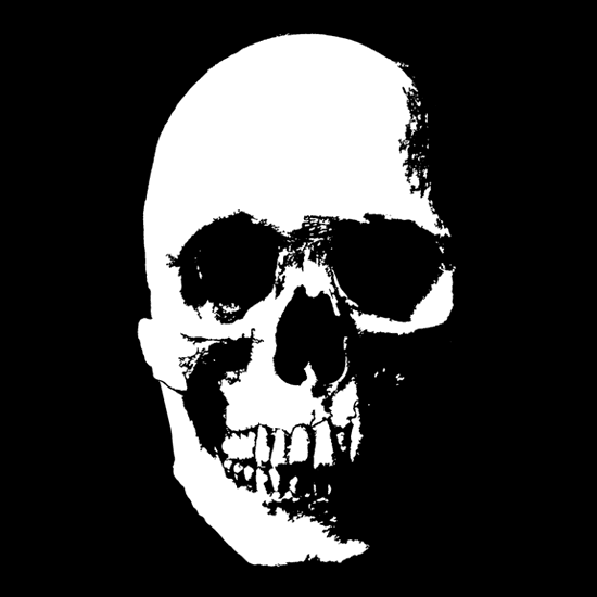 Skull 003